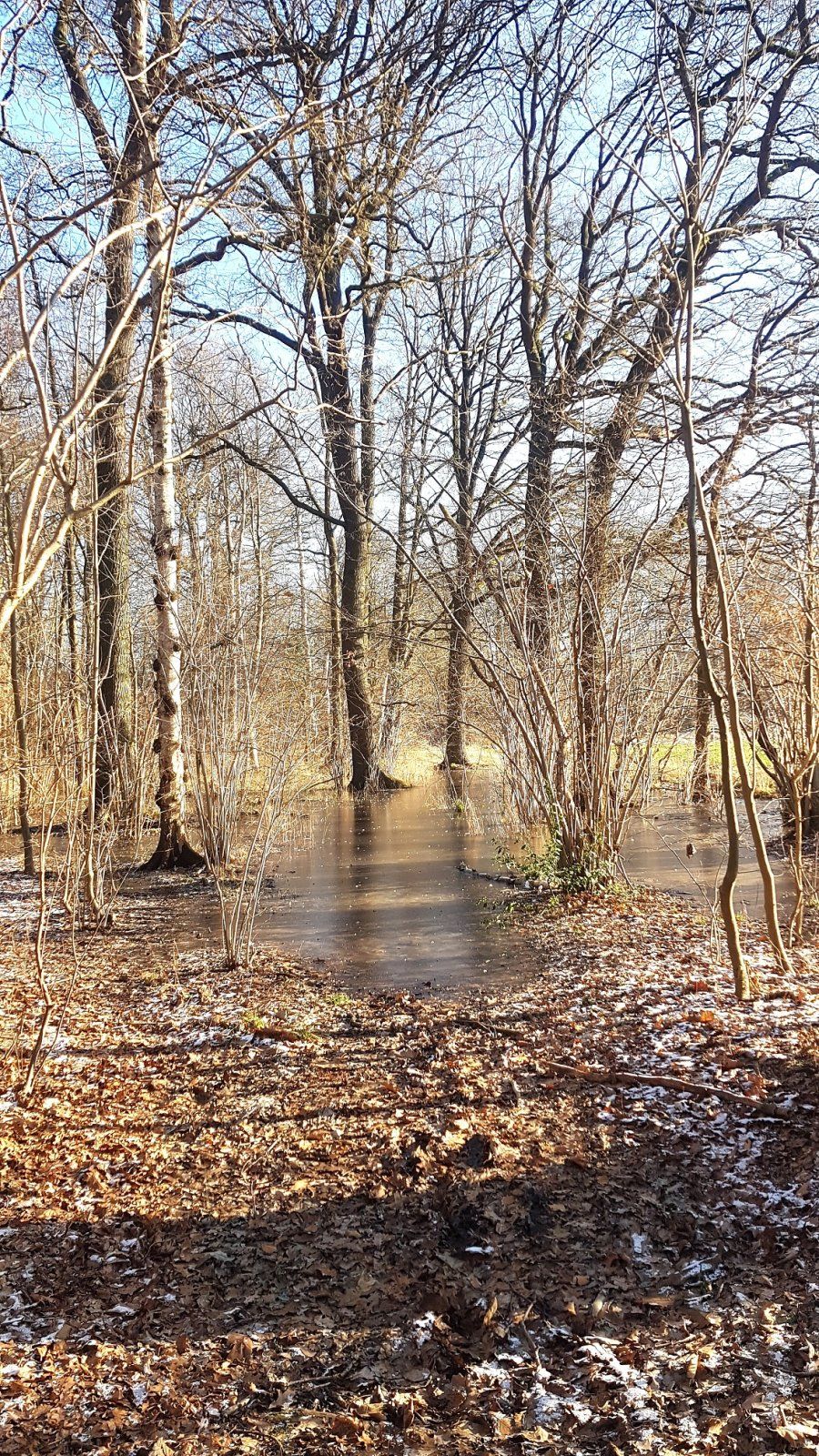 so hoch war das Wasser hier noch nie, aber mit Spikes machbar.jpg