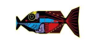 so long an thx for all the fish.gif