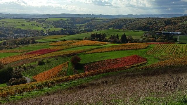 Sobernheimblick.jpg