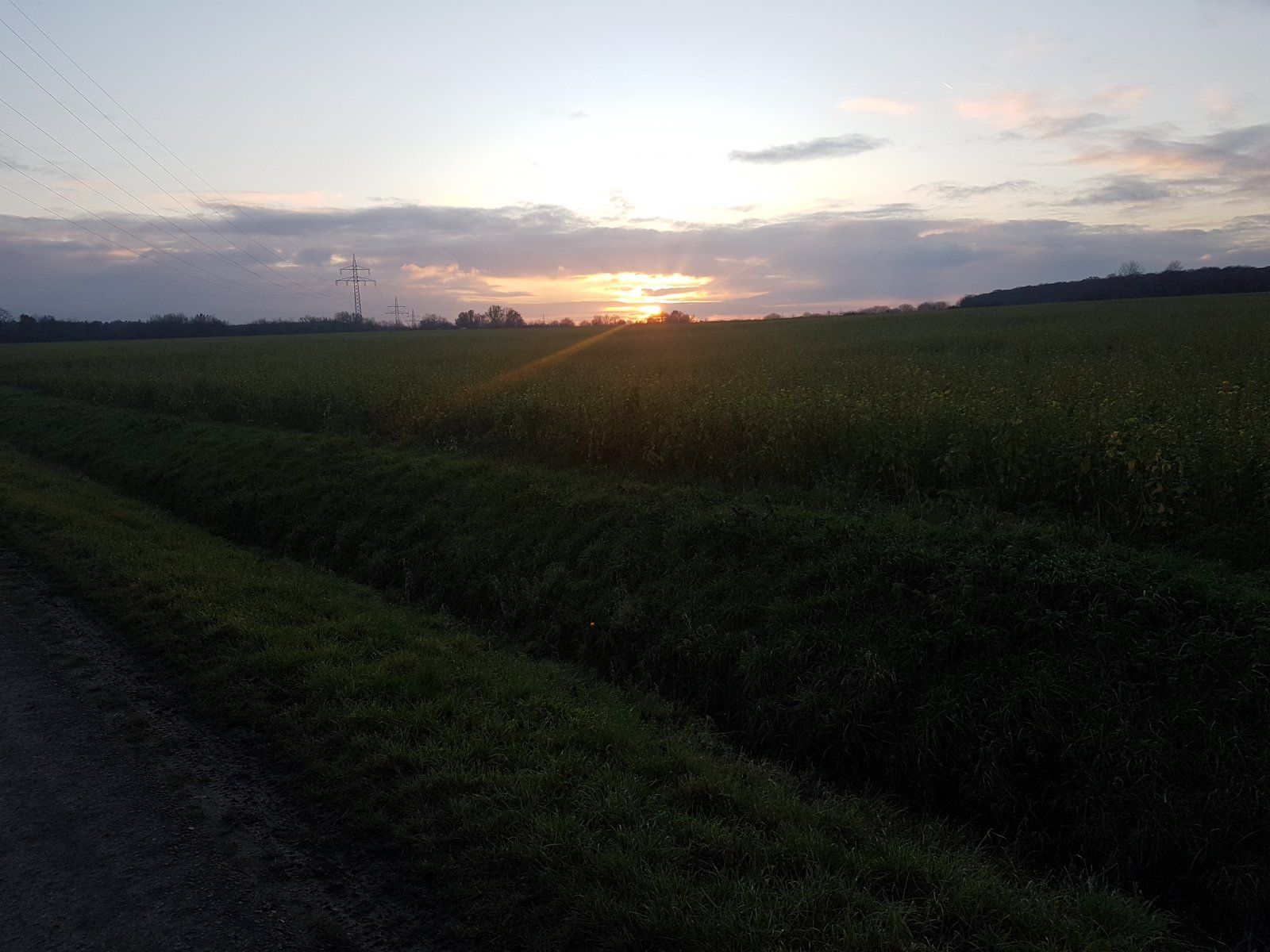 Sonnenuntergang zwischen Lehre Wendhausen.jpg