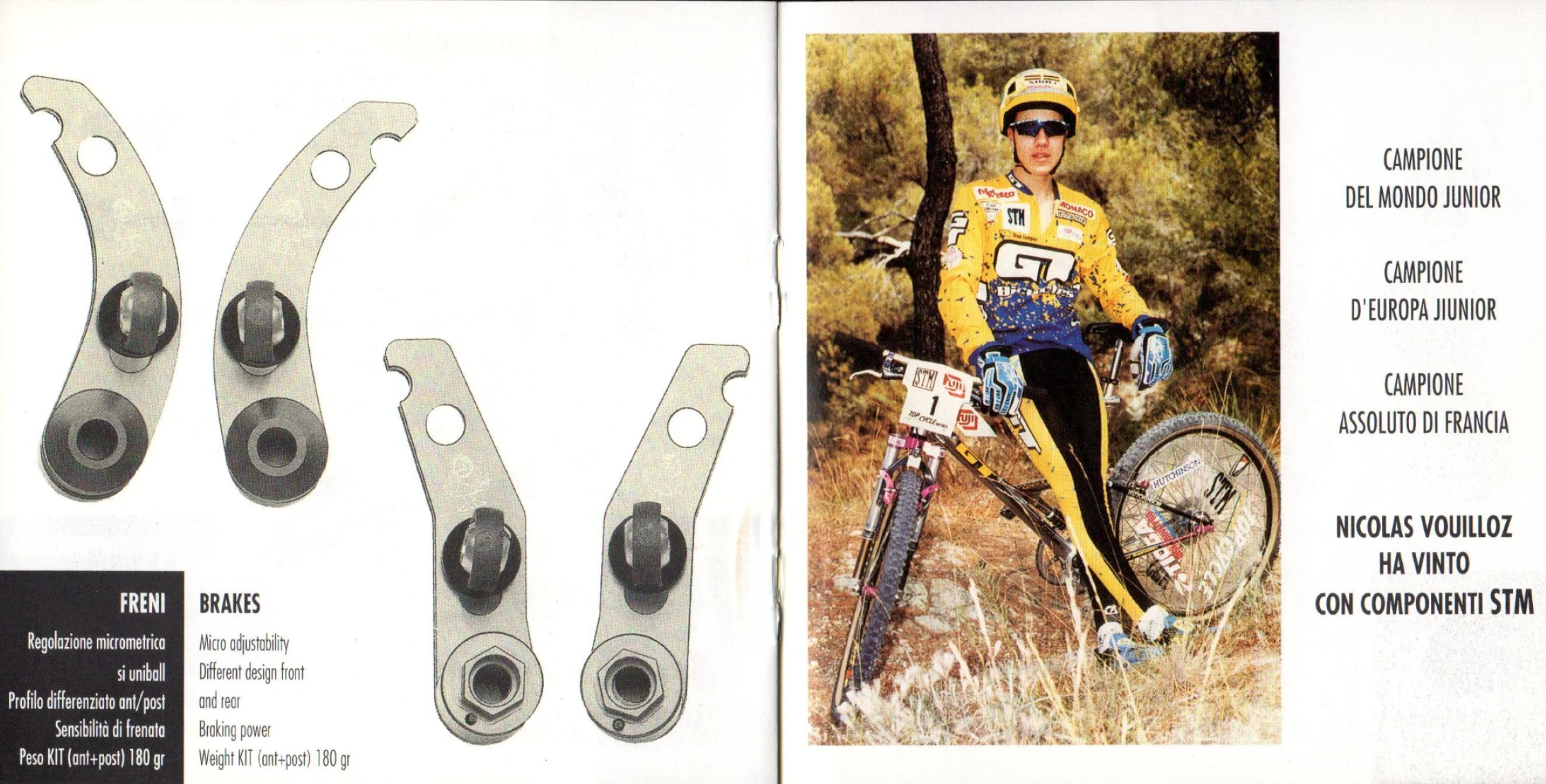 STM Cantilever 1994 Nicolas Vouilloz GT.png