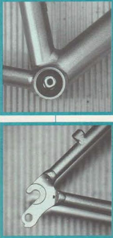 Storck 1996 2.jpg
