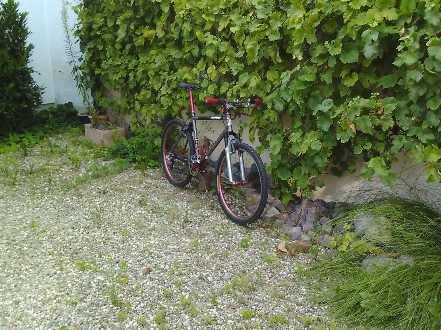 sunn exact ti 001.jpg