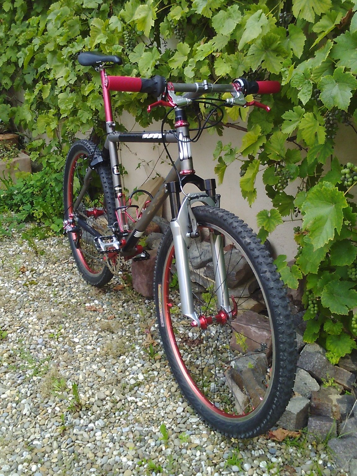 sunn exact ti 003.jpg