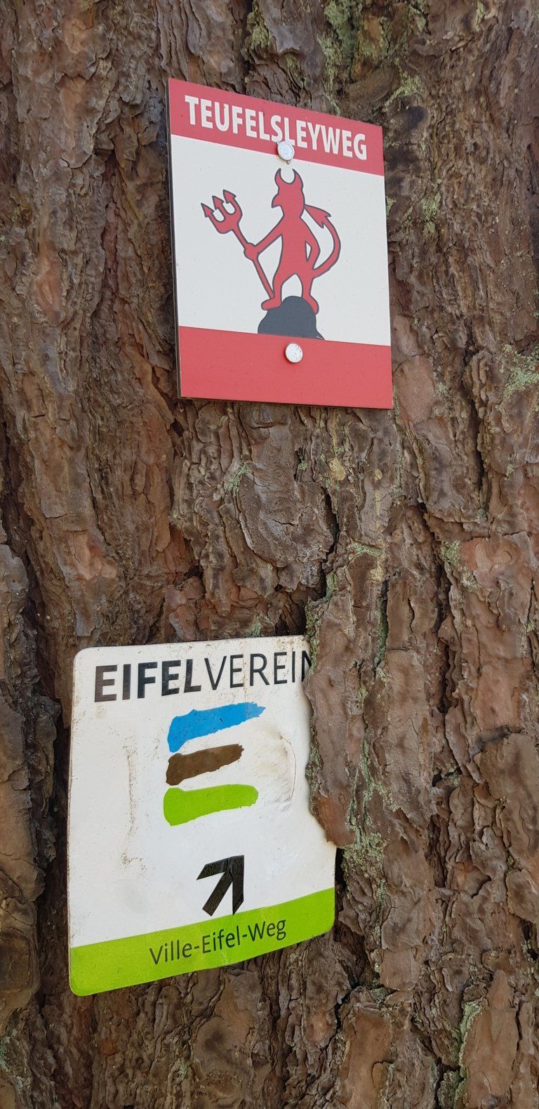 Teiffiteiffi.jpg