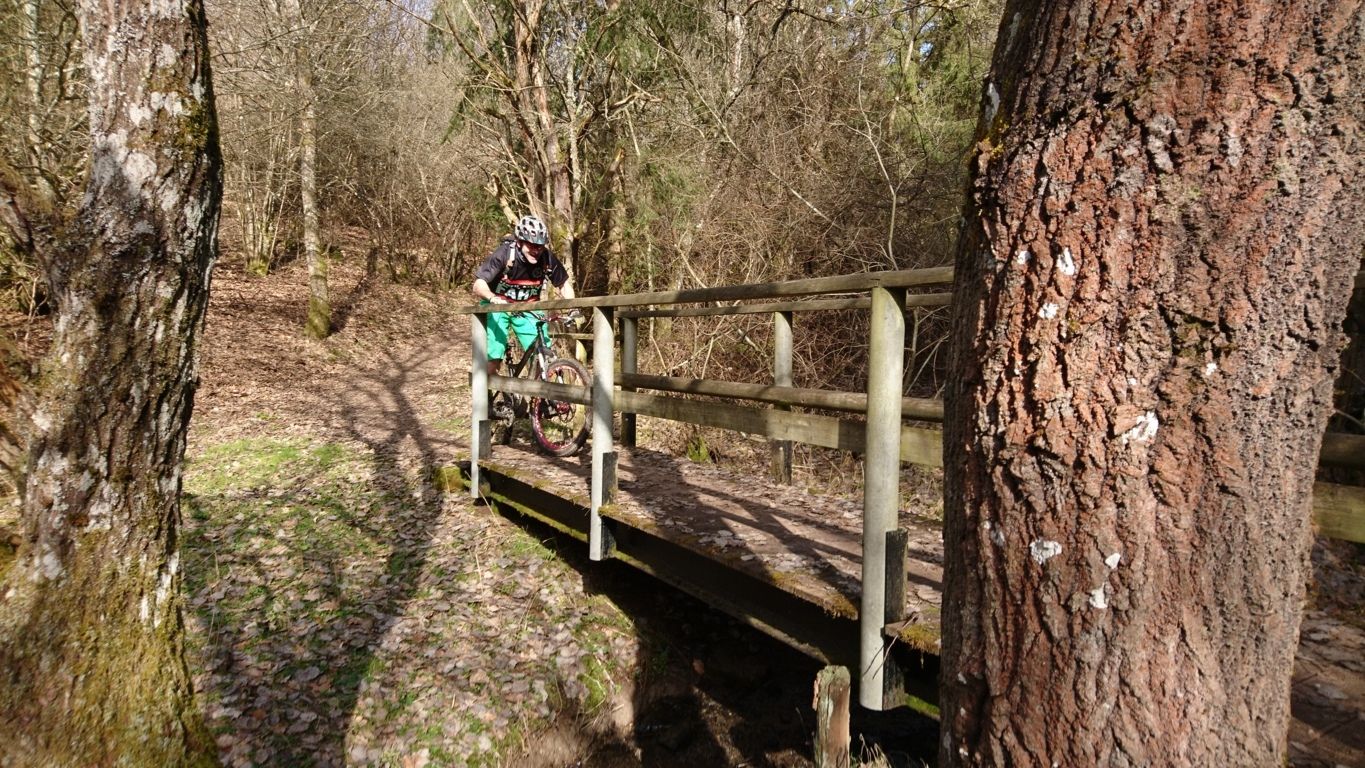 Teile in Gefahr.JPG