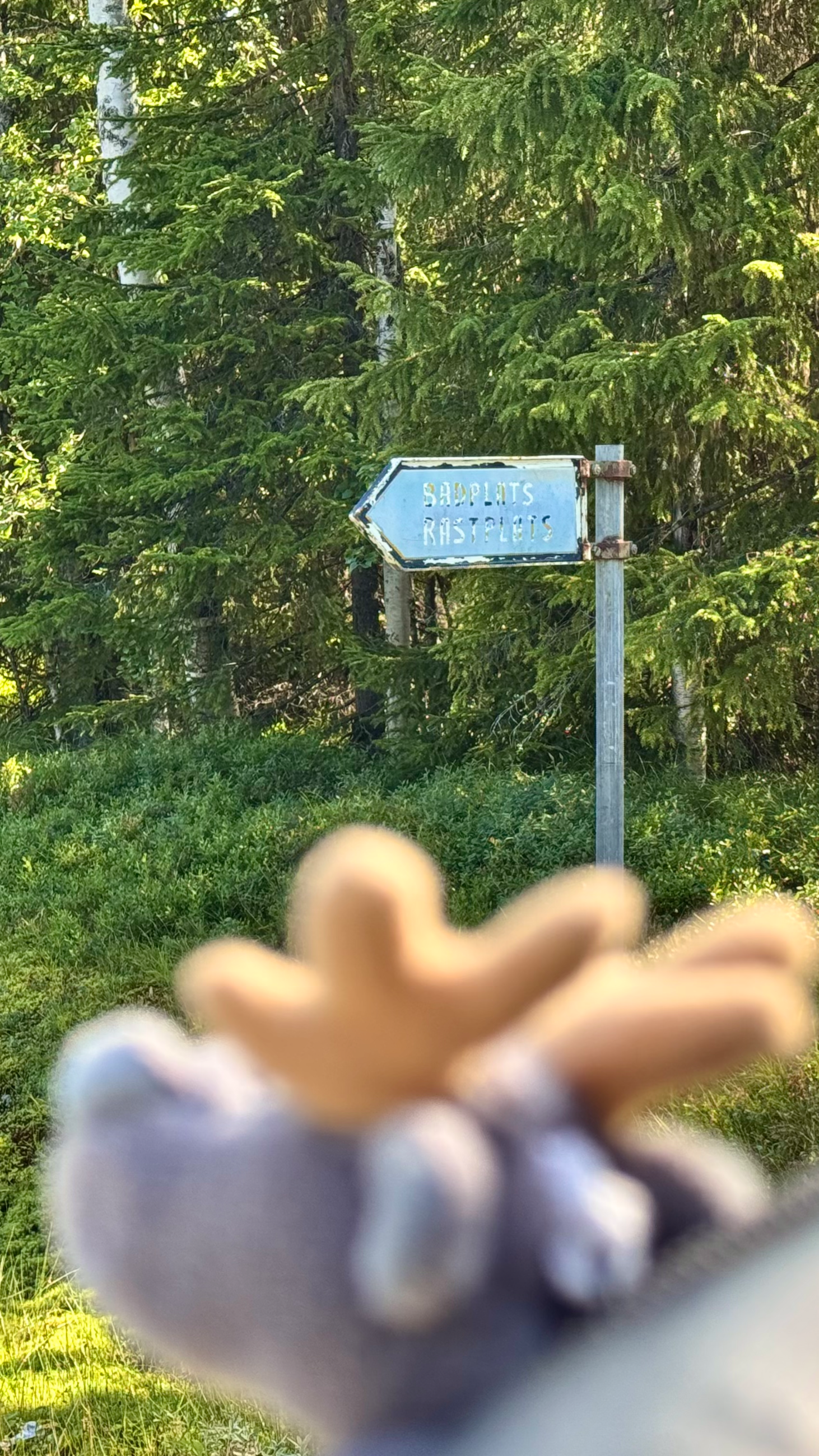tempImageSkDD7o.png