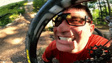 tippie.gif