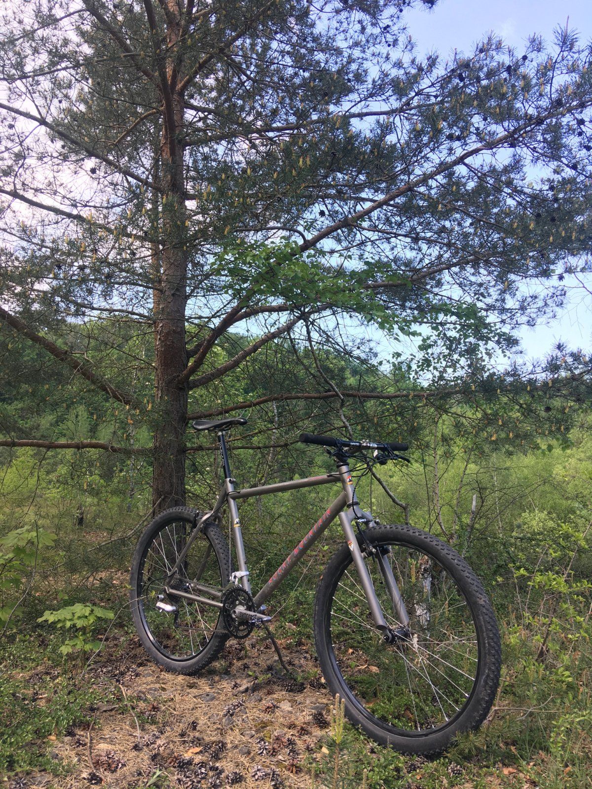 Titanium alldays VB 2 24.jpeg