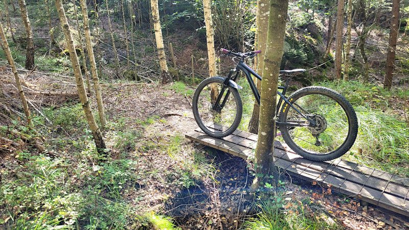 Trail 1 b 800.jpg