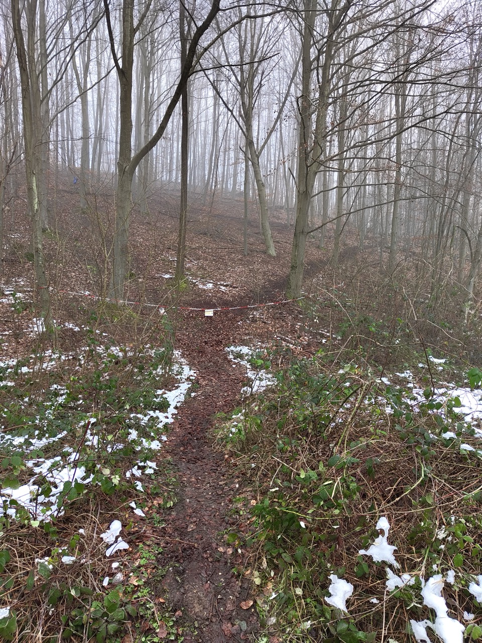 trail_ausgang Large.jpeg