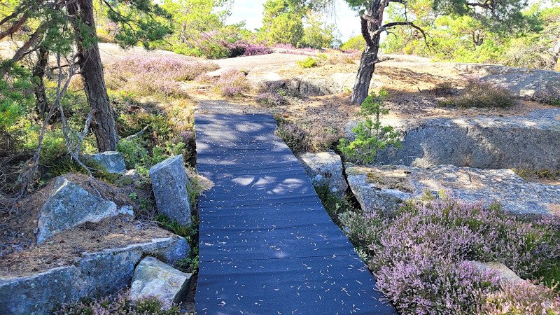 Trailrunde 2 800.jpg