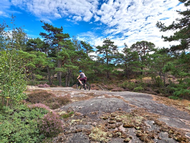 Trailrunde 4 800.jpg