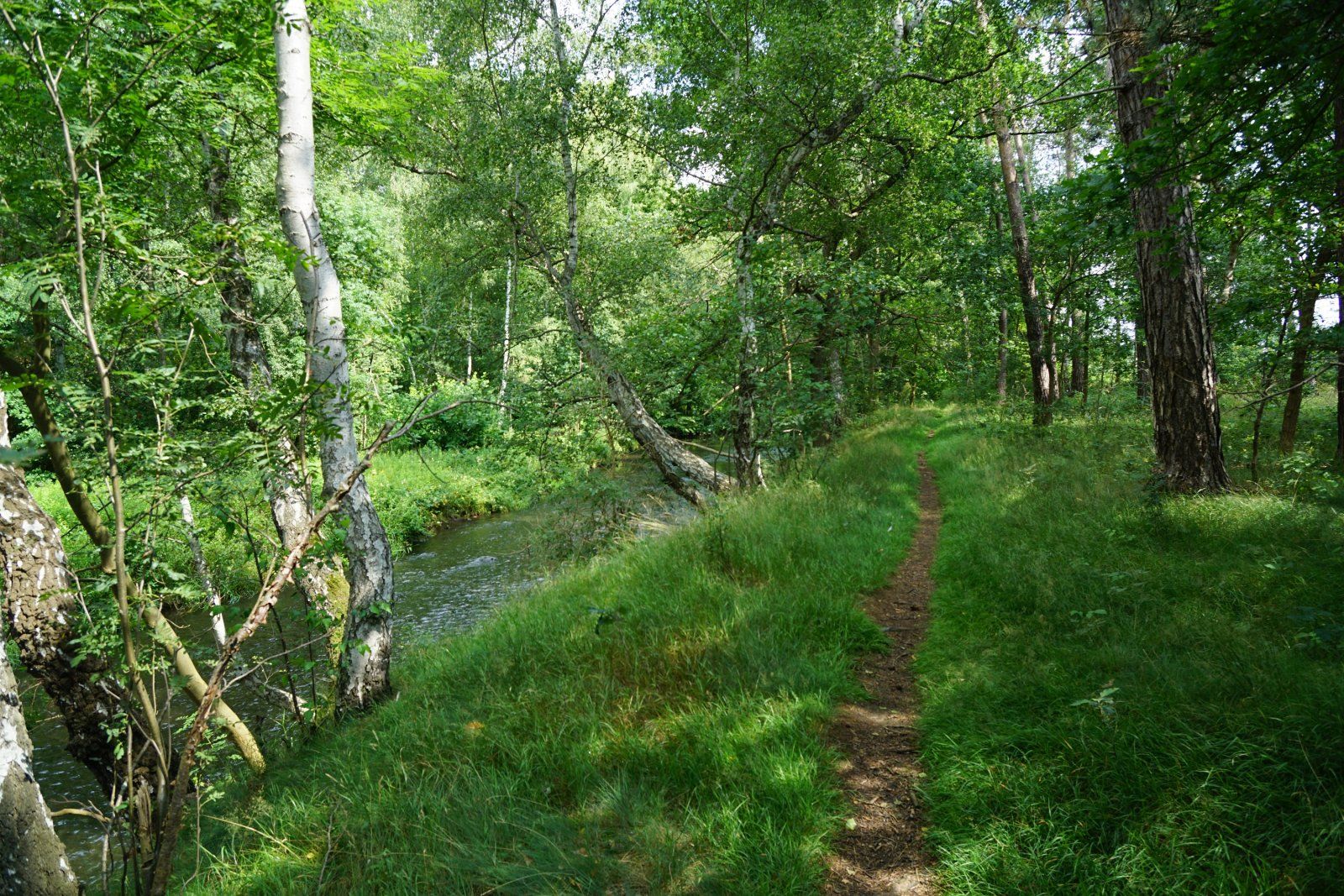 Traumtrails an der Innersten.JPG