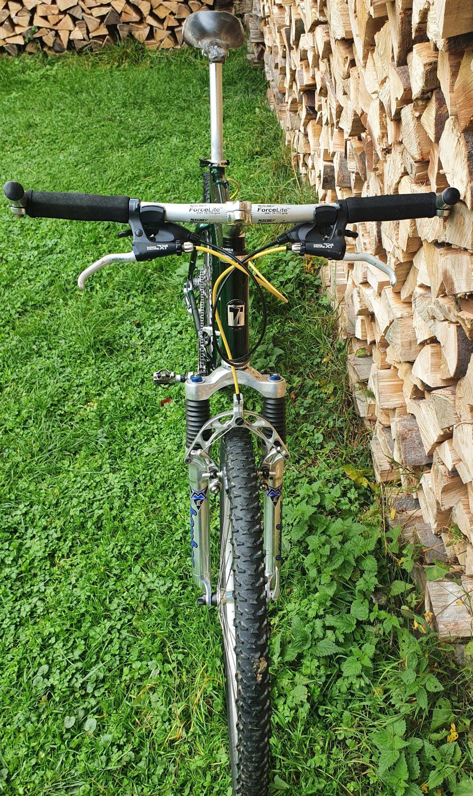 TREK von vorne.jpg