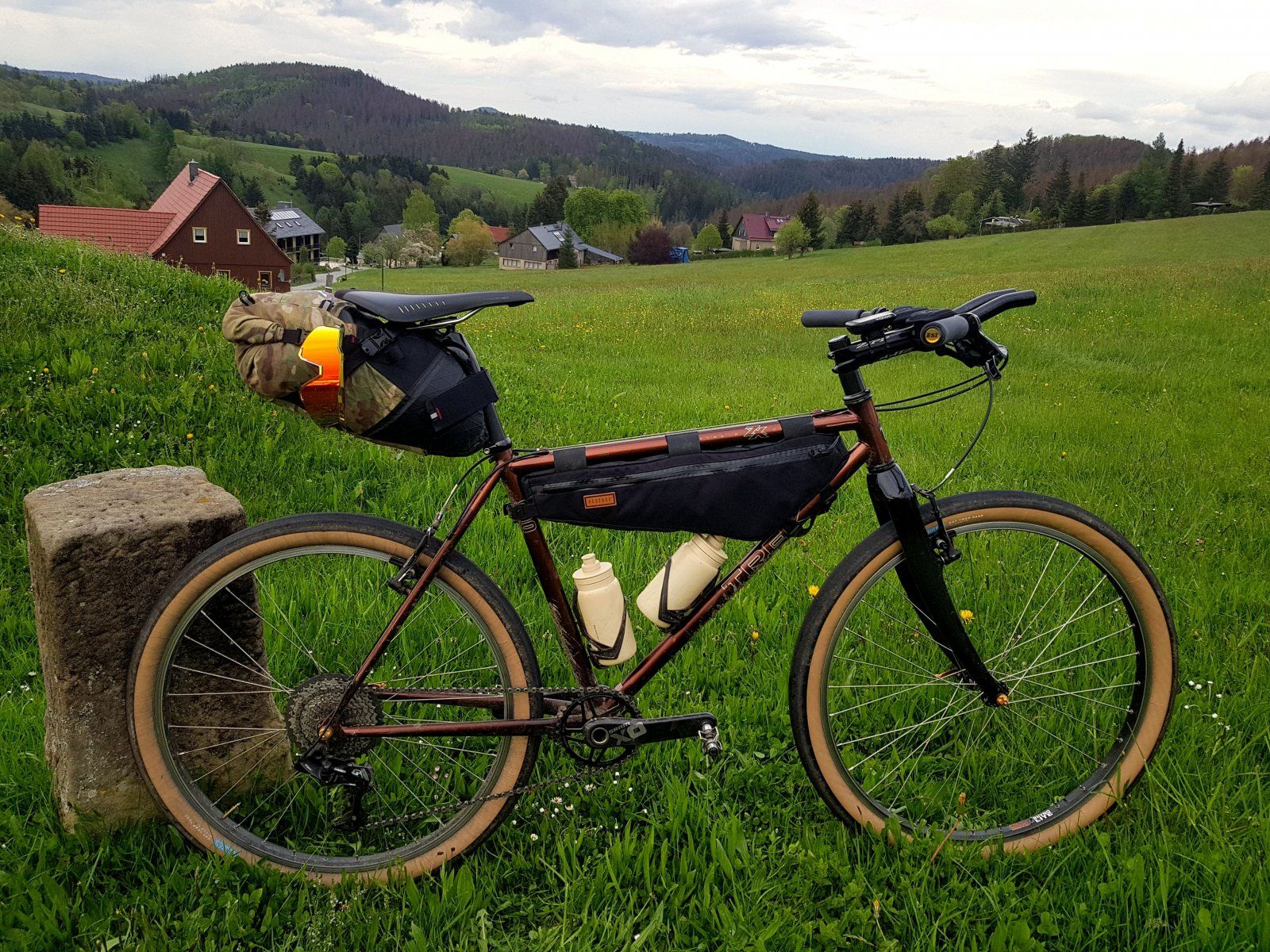 Trek990_1.jpg