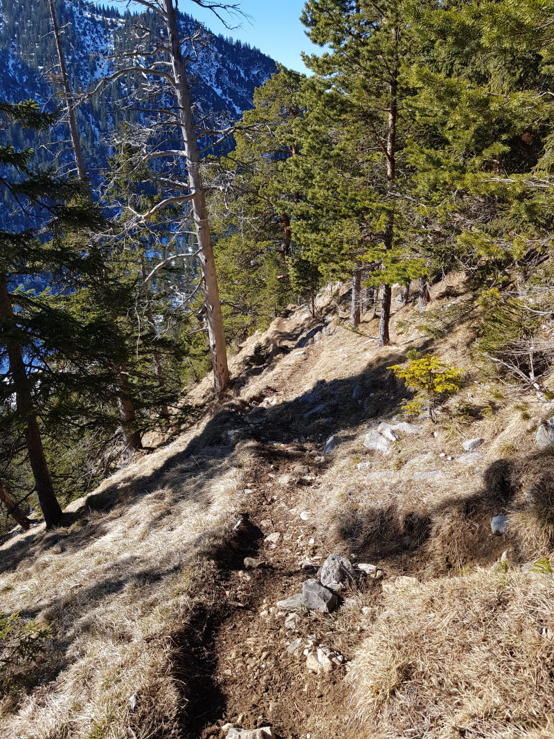 trockene_Trails2.jpg