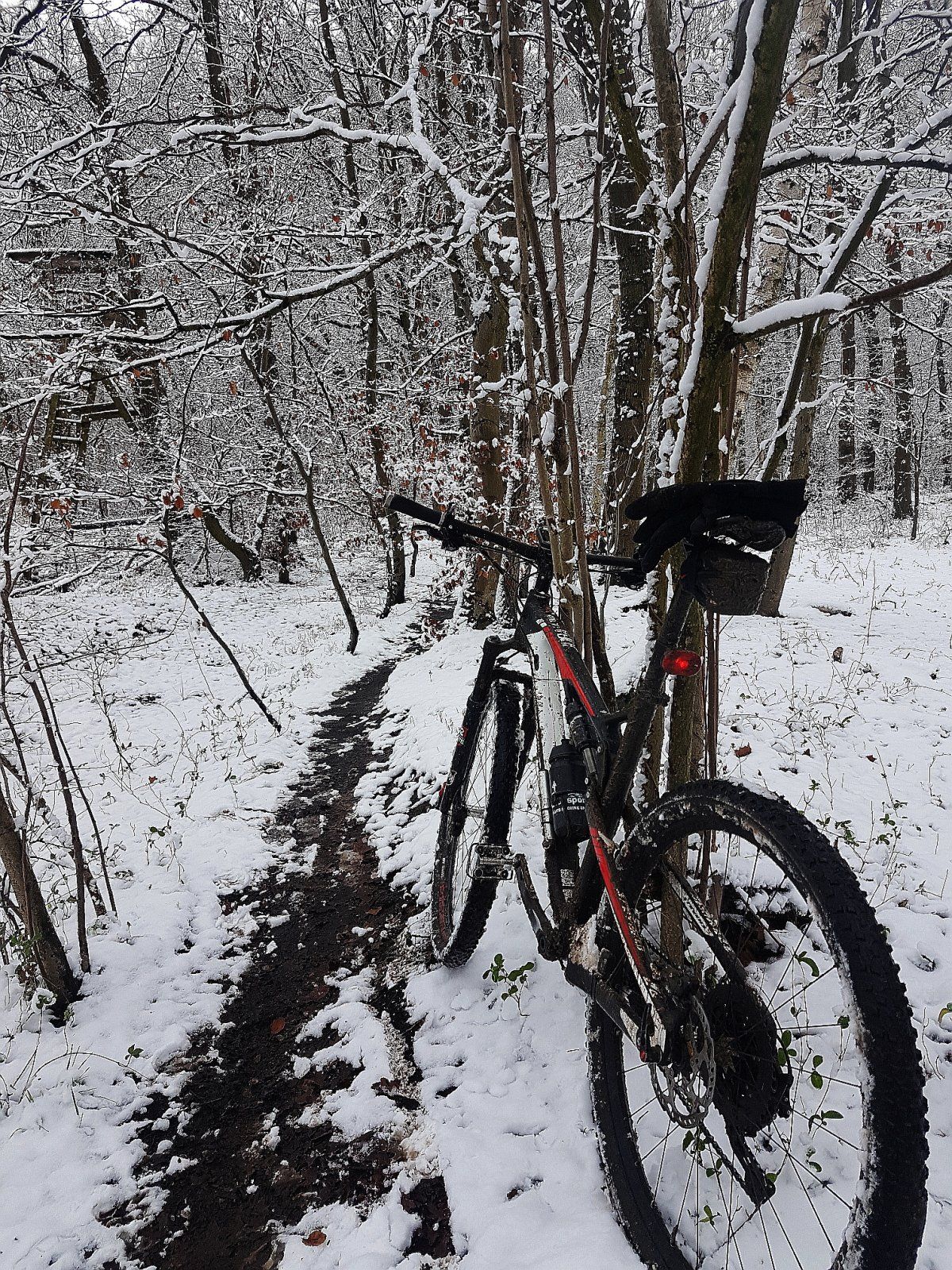 verschneite Trails nach langer Zeit.jpg