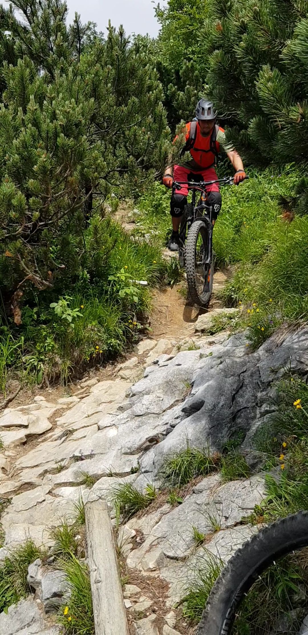 VideoCapture_20190720-083833.jpg