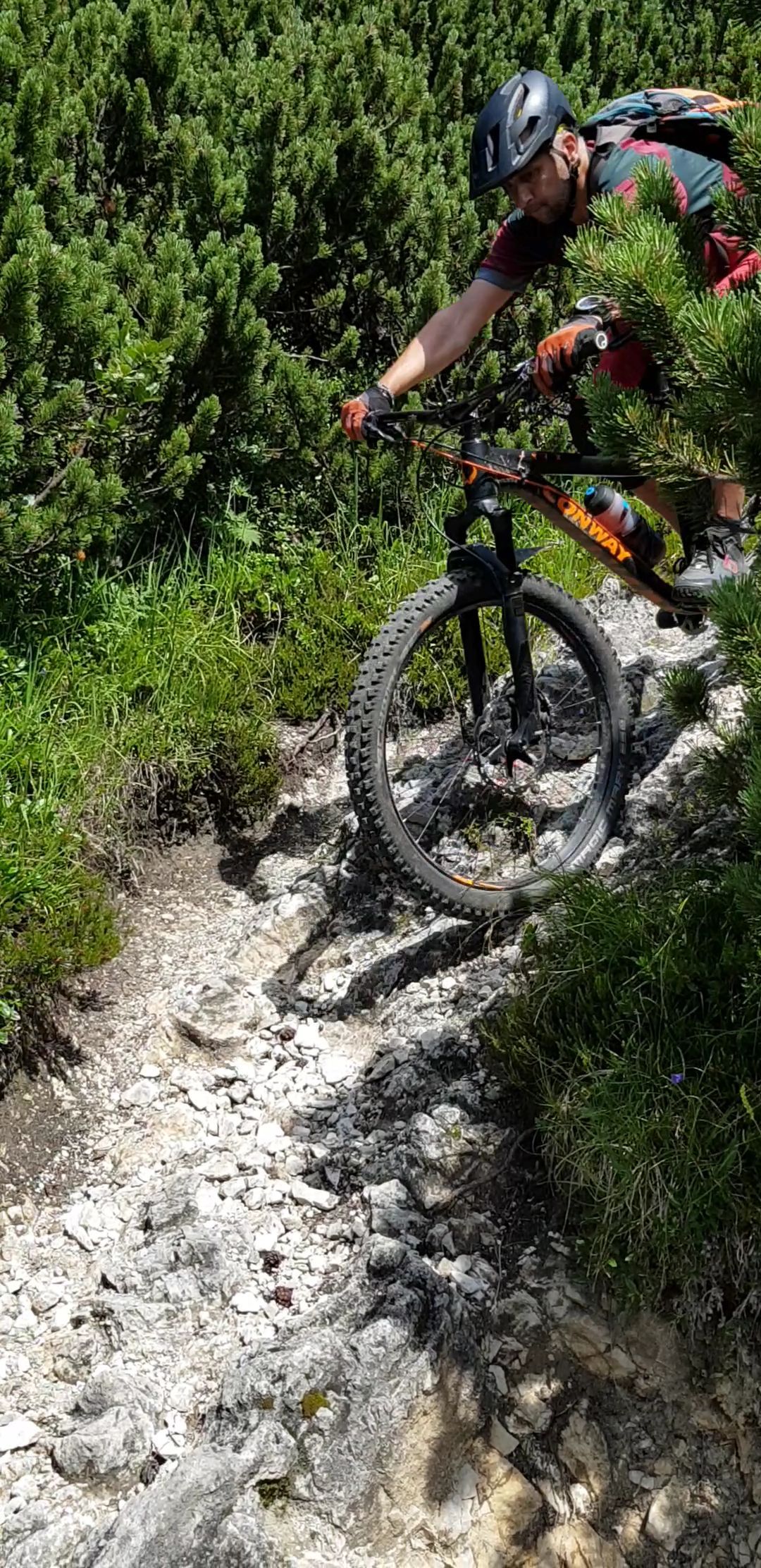 VideoCapture_20190802-063936.jpg