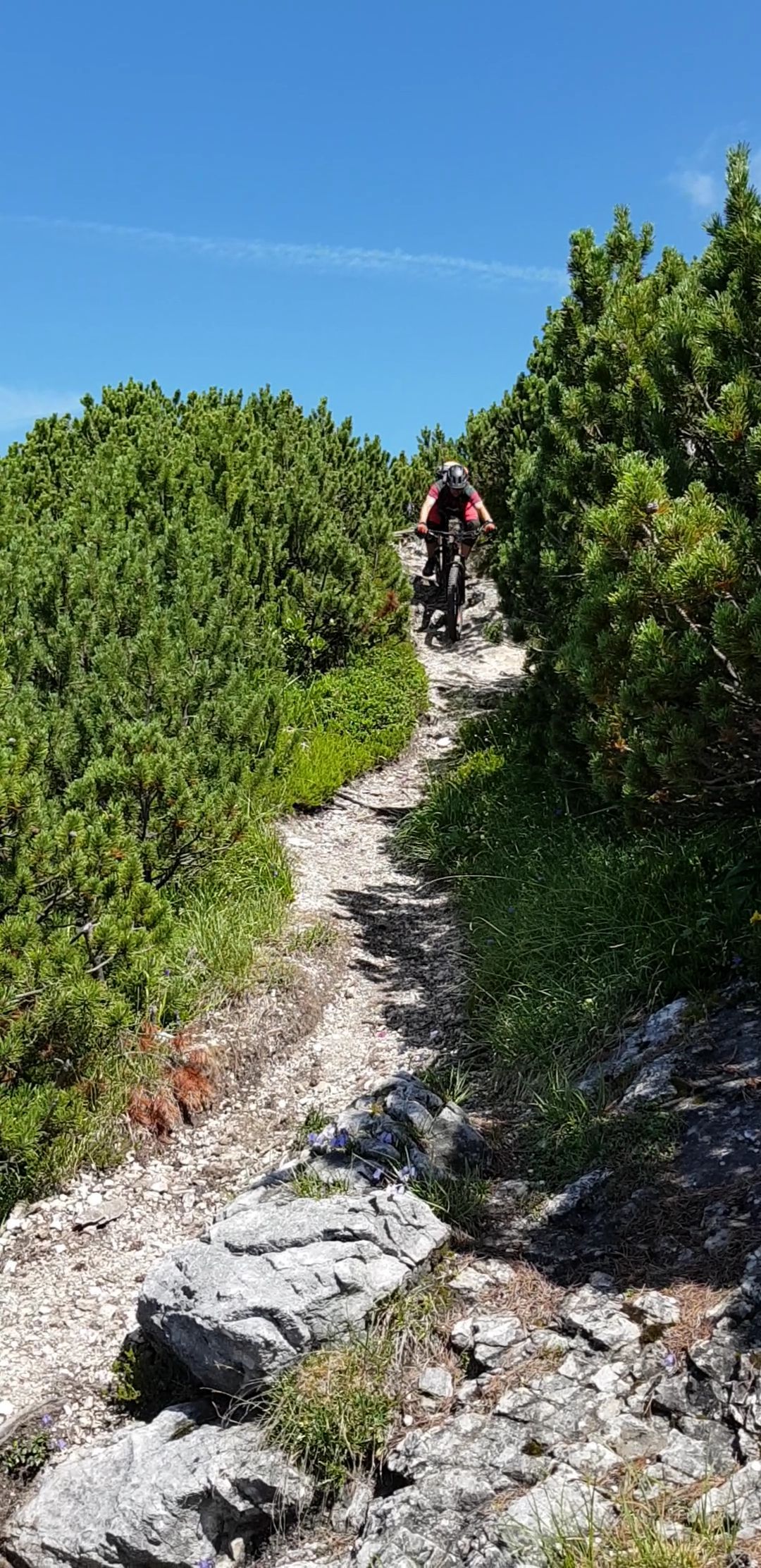 VideoCapture_20190802-064212.jpg