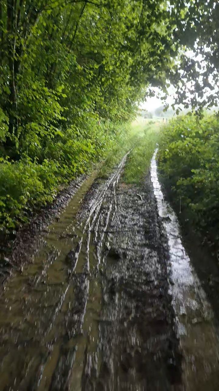 VideoCapture_20240601-225202.jpg