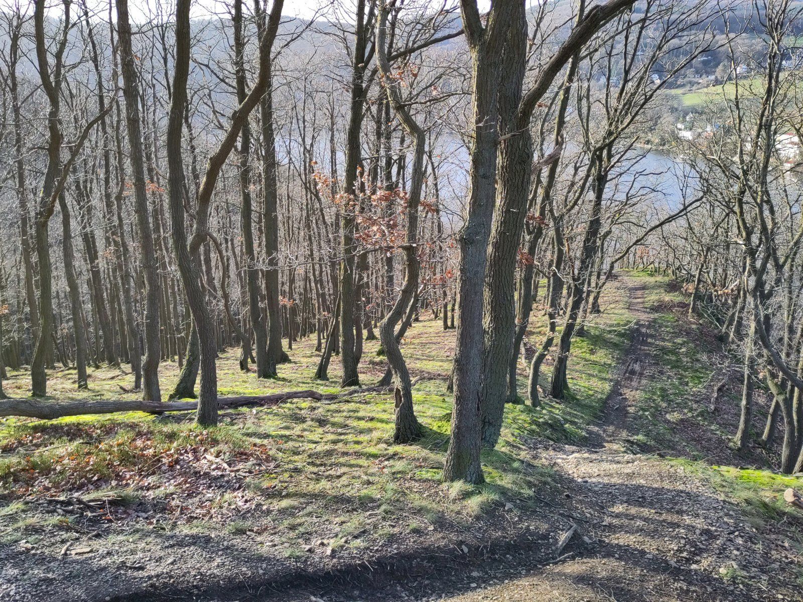 view2.jpg