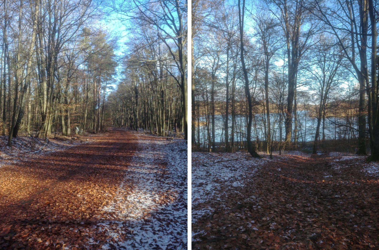 Vor Liepnitzsee.jpg