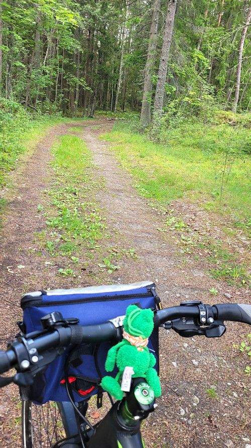 Wald 2.jpg