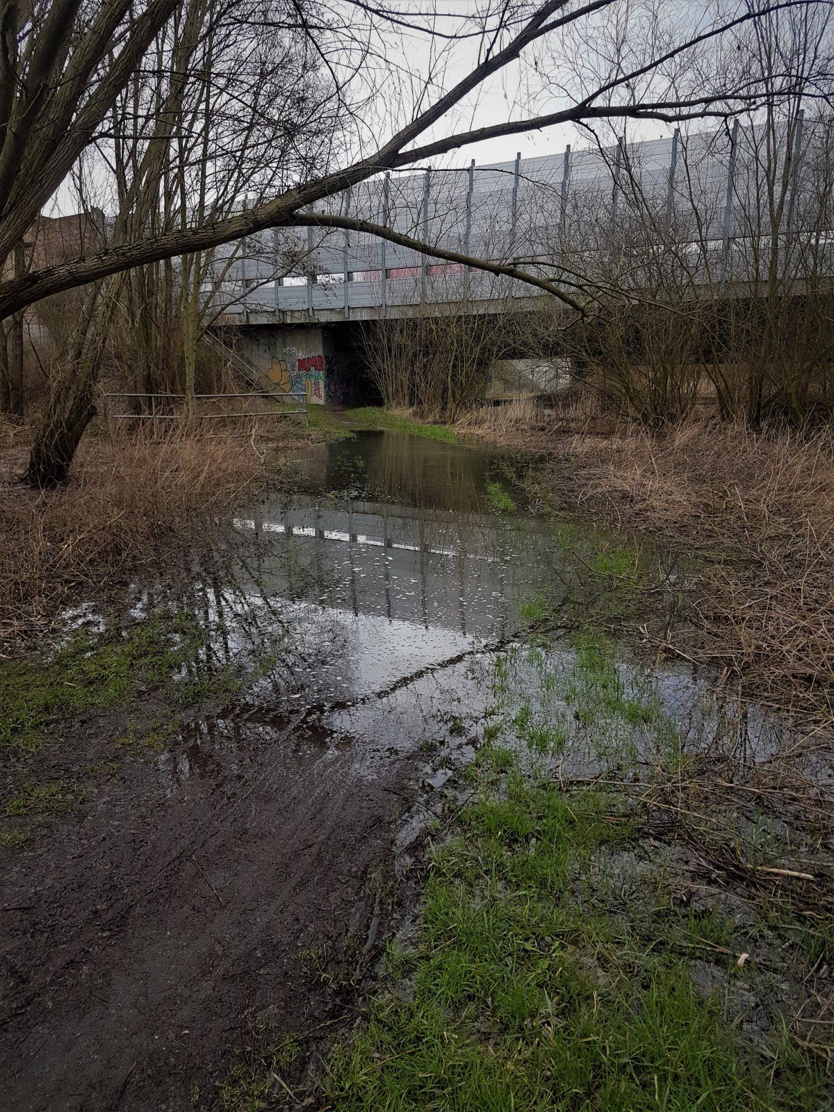 Wasserdurchfahrten an der Schunter.jpg