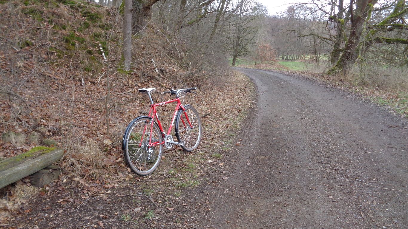 Weg nach Alsfeld.JPG