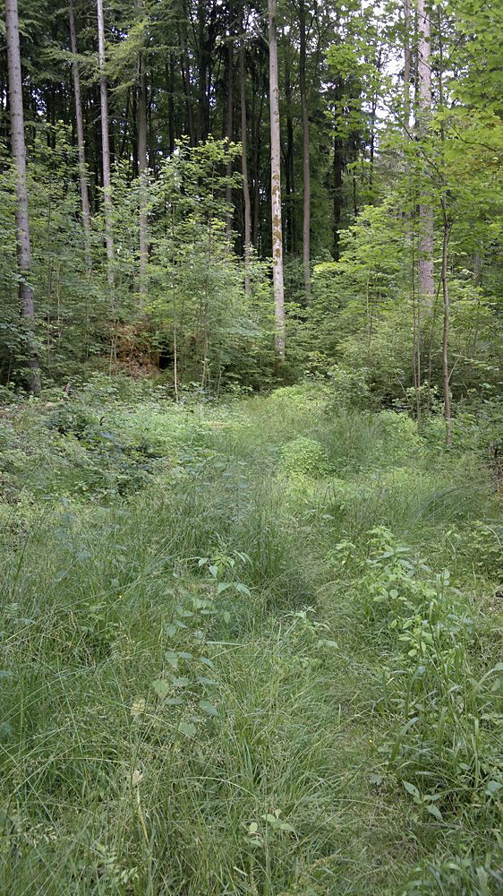 Wegezerstörung3b.jpg