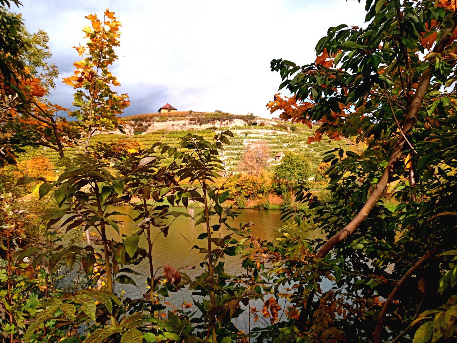 Weinberge.jpg