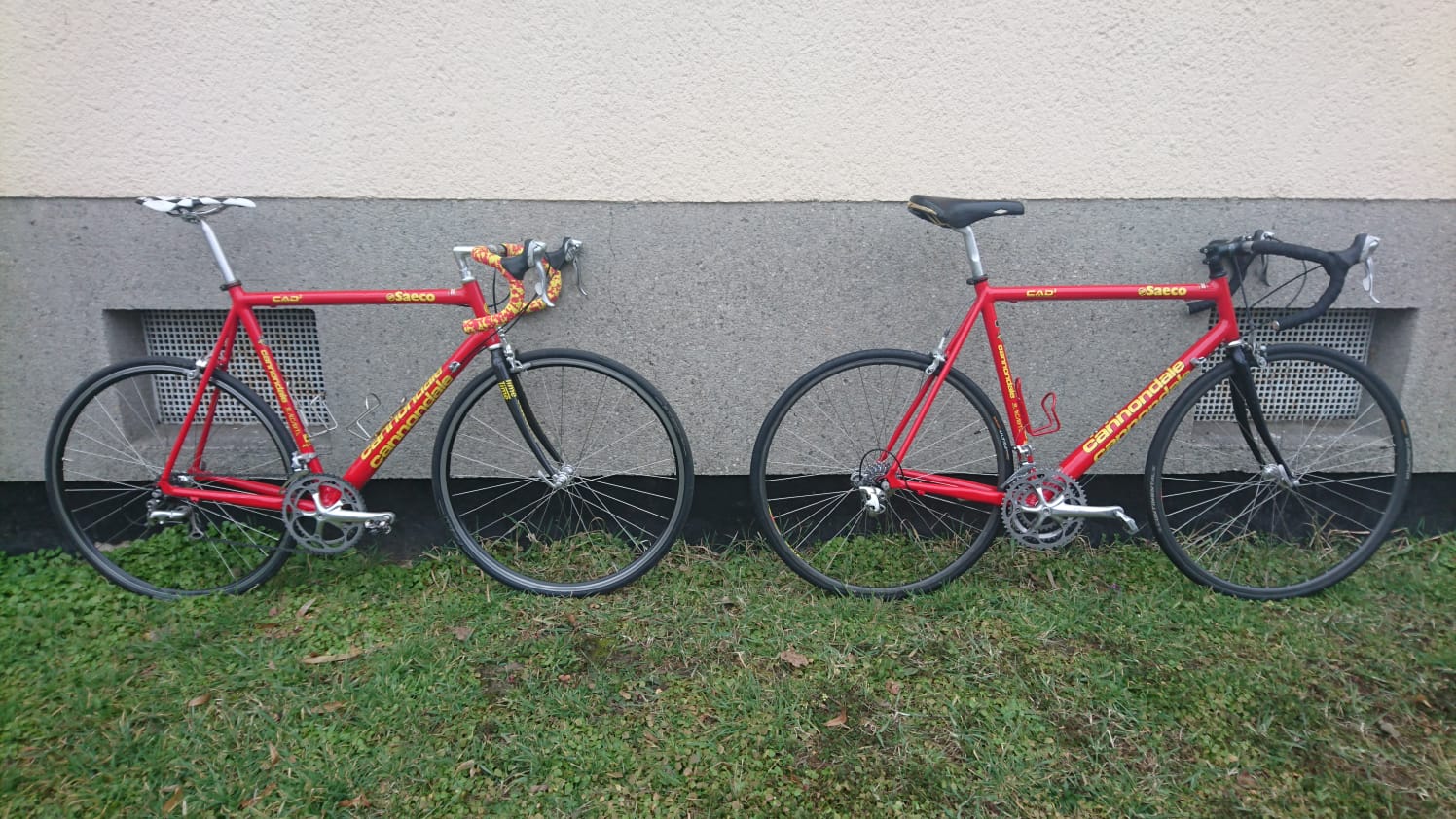 WhatsApp Image 2021-03-07 at 14.15.12.jpeg