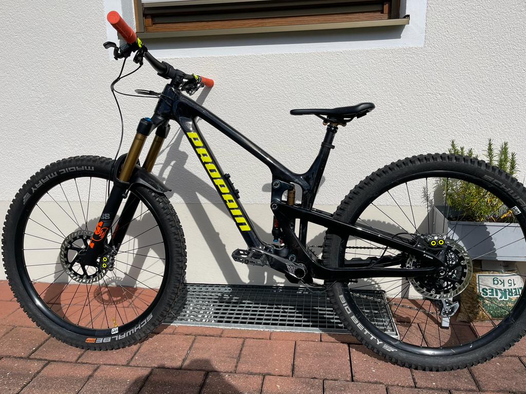 WhatsApp Image 2022-05-28 at 17.04.01.jpeg