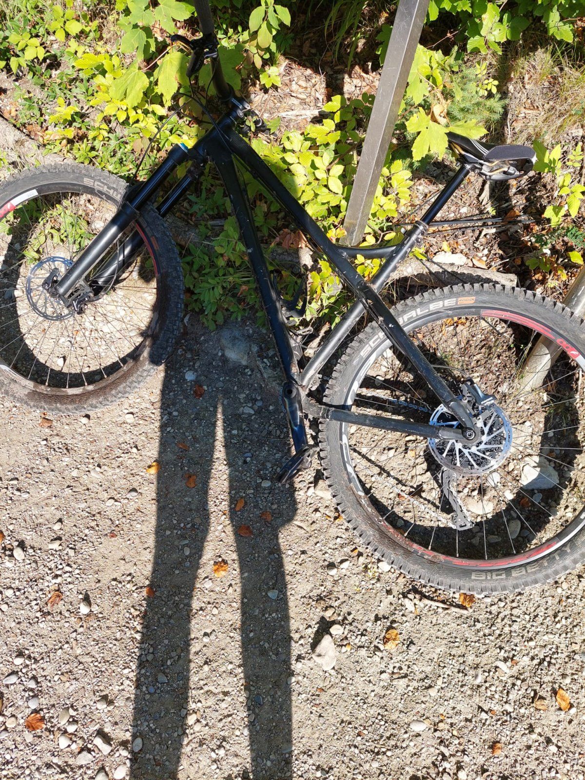 WhatsApp Image 2022-11-05 at 11.46.09.jpeg