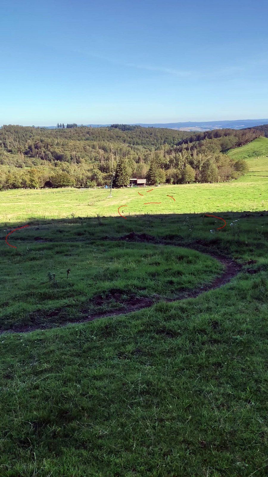 WhatsApp Image 2023-09-07 at 18.24.23.jpeg