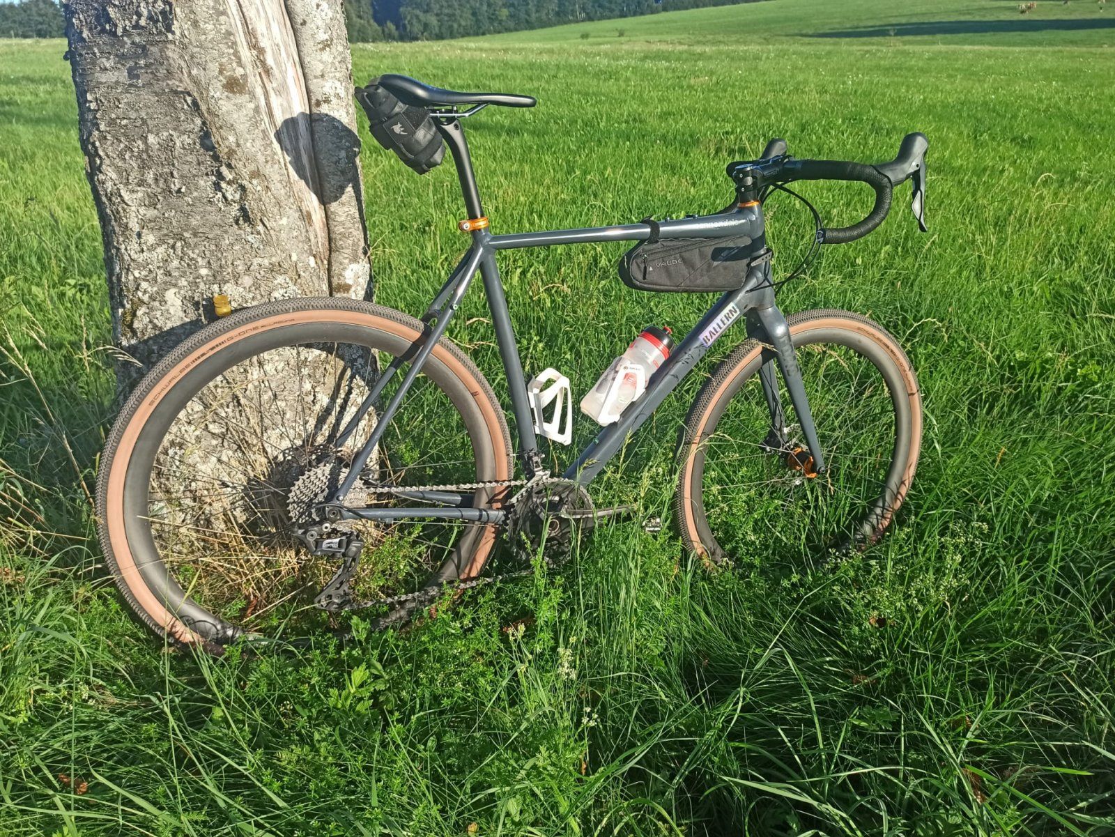 WhatsApp Image 2023-09-07 at 21.28.38.jpeg