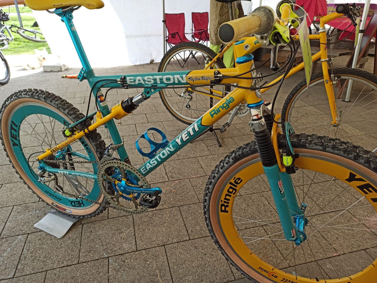 WhatsApp Image 2023-11-05 at 09.38.02.jpeg