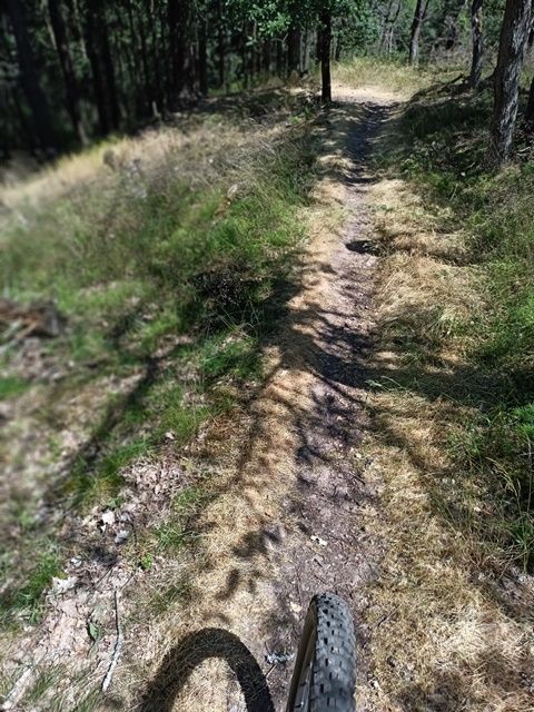 Wienecke Trail 3.jpg