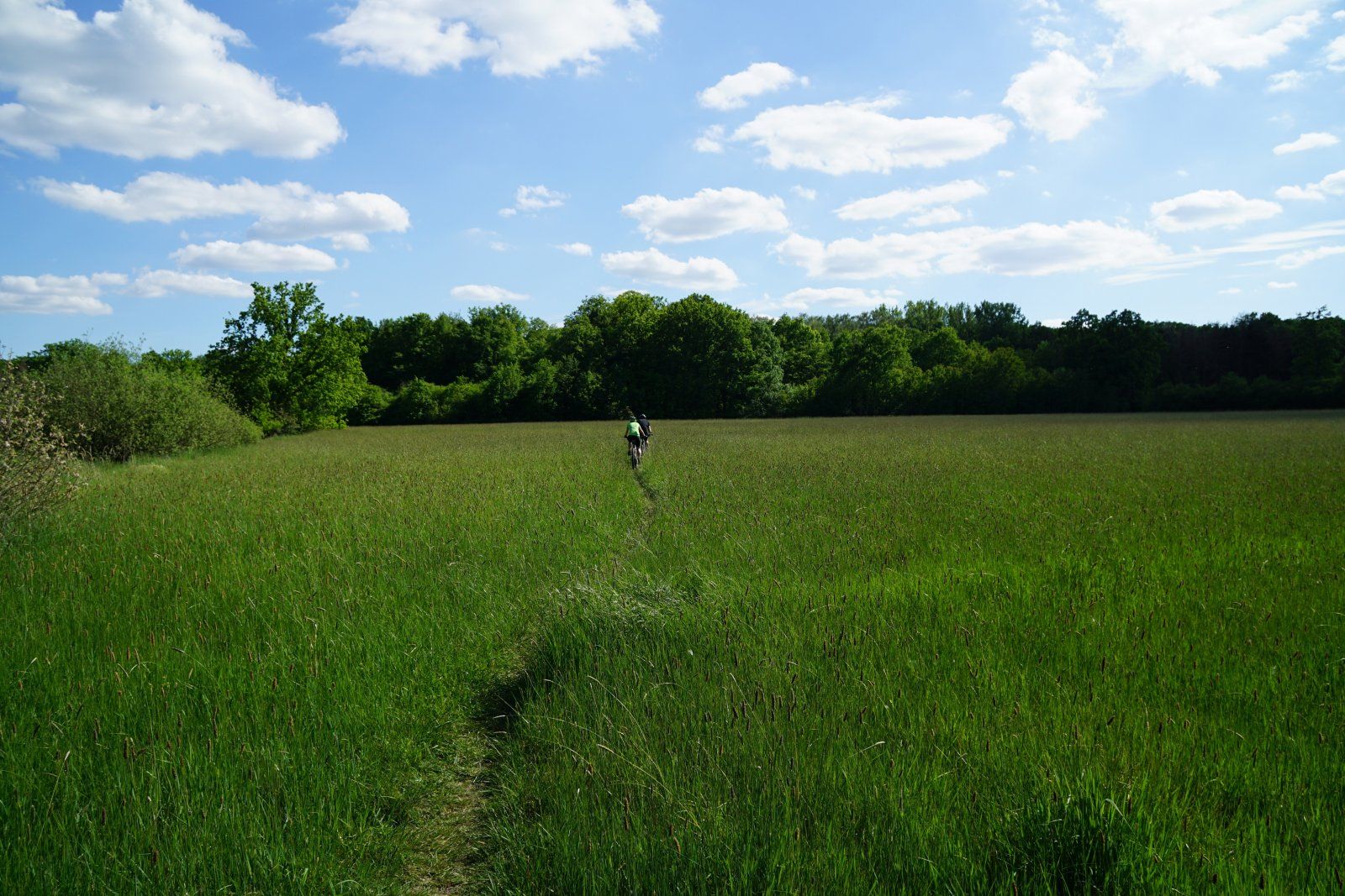 Wiesentrail bei Bevenrode.JPG