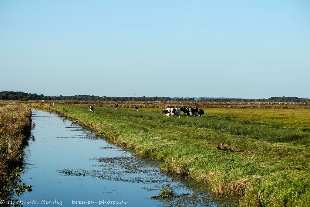 worpswede-teufelsmoor-IMG_1999.jpg