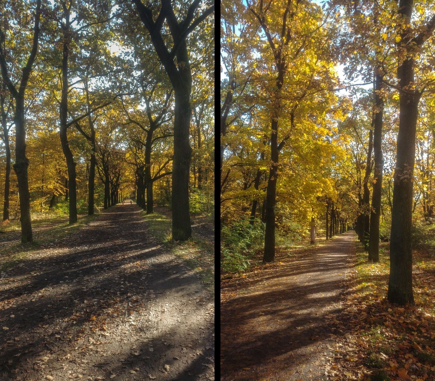 Wuhlheide.jpg