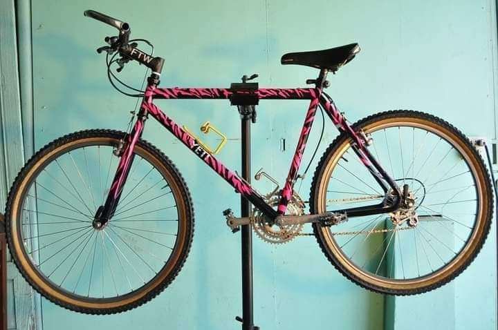 Yeti zebra pink.jpg