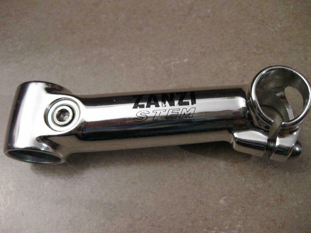 Zanzi Stem 1.JPG