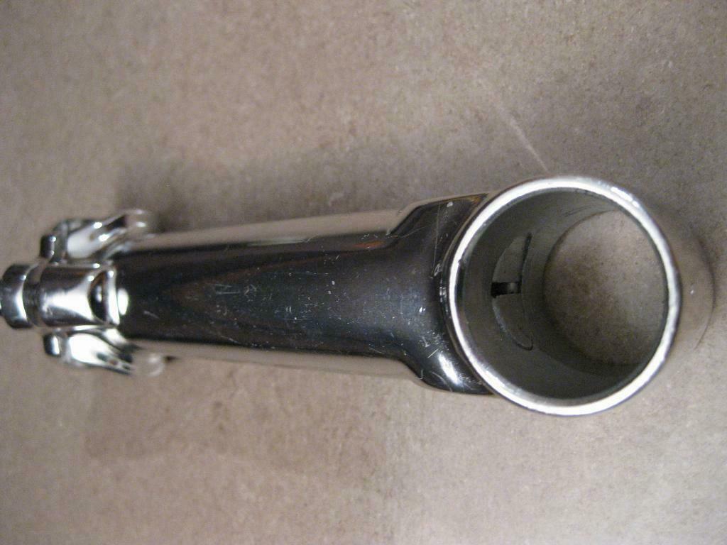 Zanzi Stem 2.JPG