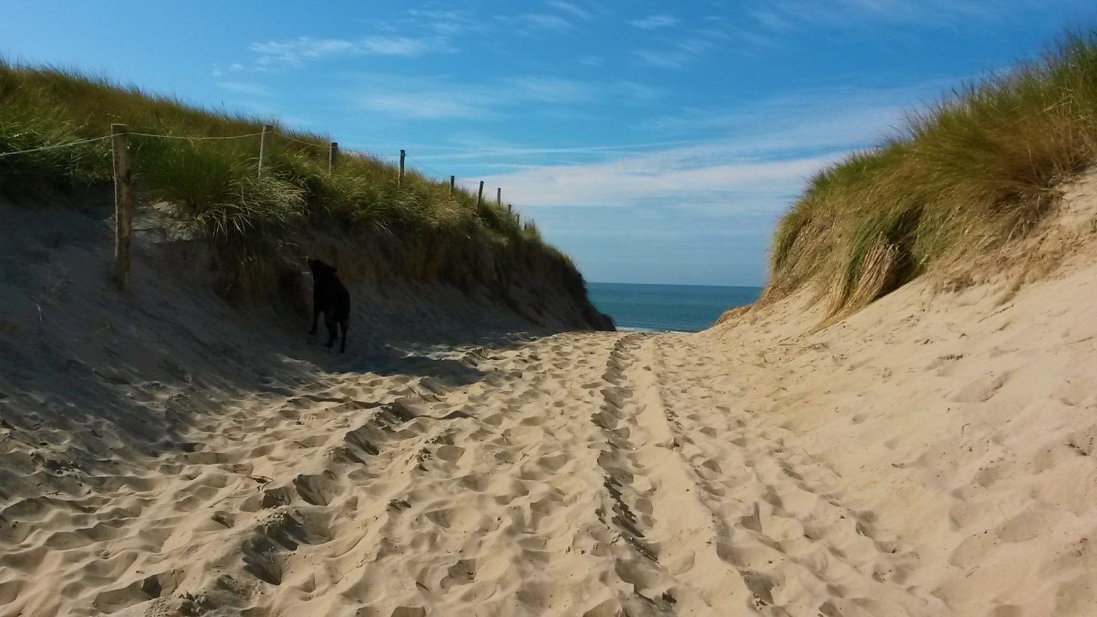 Zum Strand.jpg