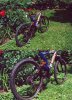 bike.jpg