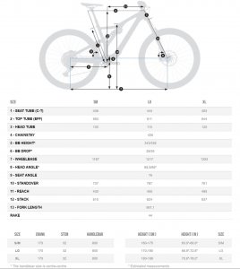 Orbea-Rallon-M-Team-Geometry-2019.jpg