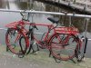 bike.jpg